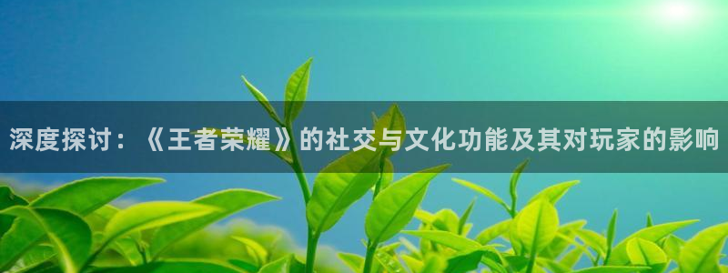 蓝狮在线注册开户：深度探讨：《王者荣耀》的社交与文化功能及其对玩家的影响