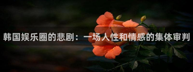 蓝狮在线登录：韩国娱乐圈的悲剧：一场人性和情感的集体审判